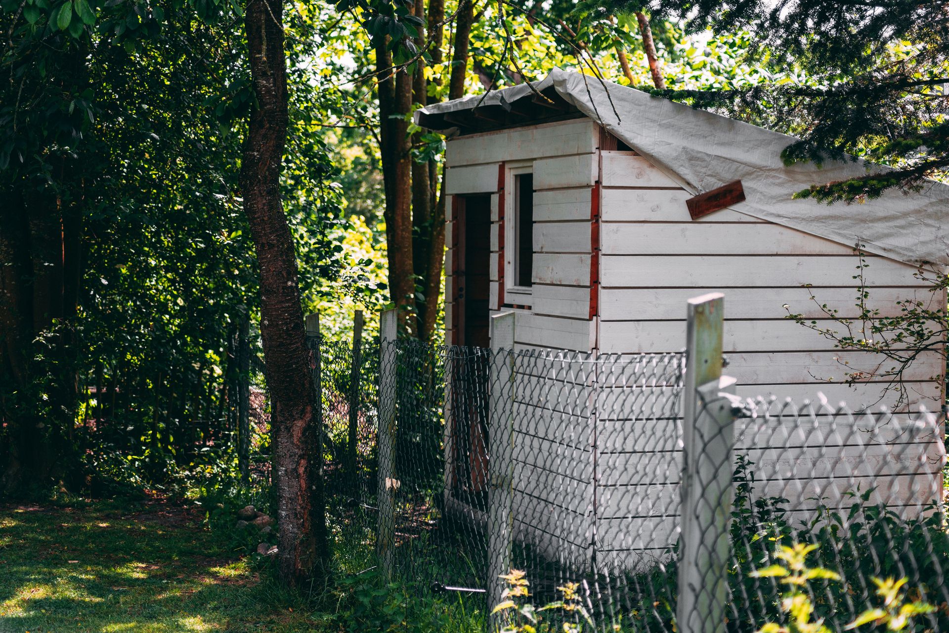 A rustic wooden shed in a lush garden setting, ideal for cozy backyard themes.